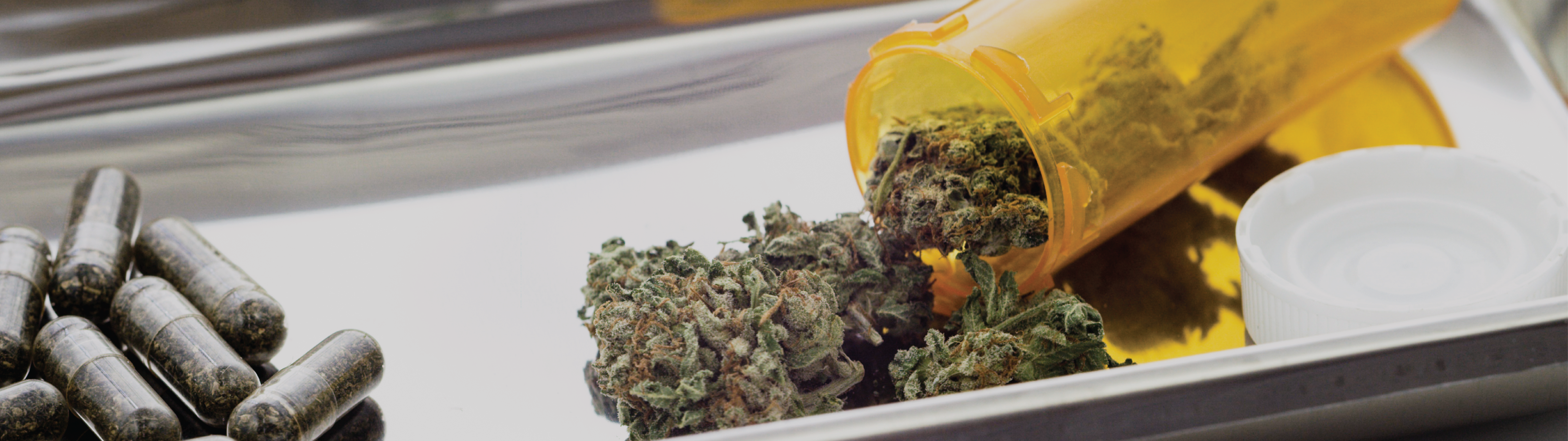Cannabis Testing Banner-01-01