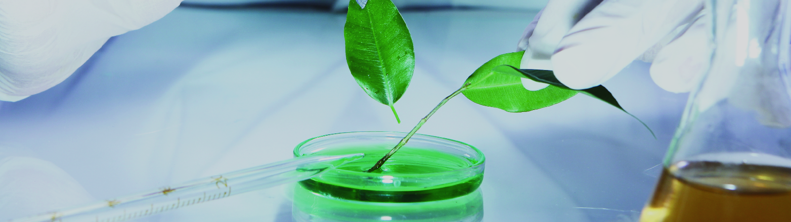 Environmental Lab Banner-01